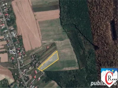 Teren 7000 mp in Ciolpani, 20 euro mp - foto 2
