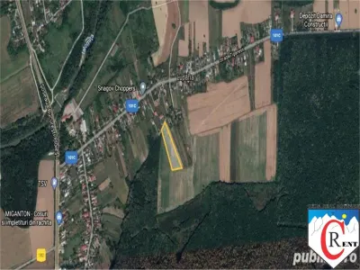 Teren 7000 mp in Ciolpani, 20 euro mp - foto 4