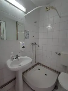 Casă 8 camere București - poza 5