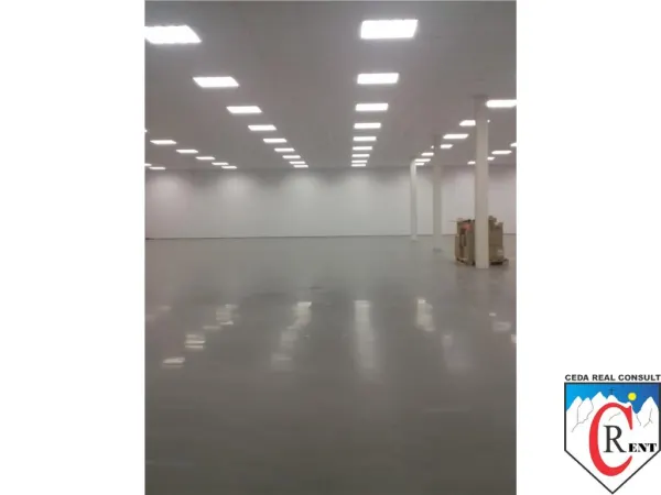 Spațiu industrial București - poza 2
