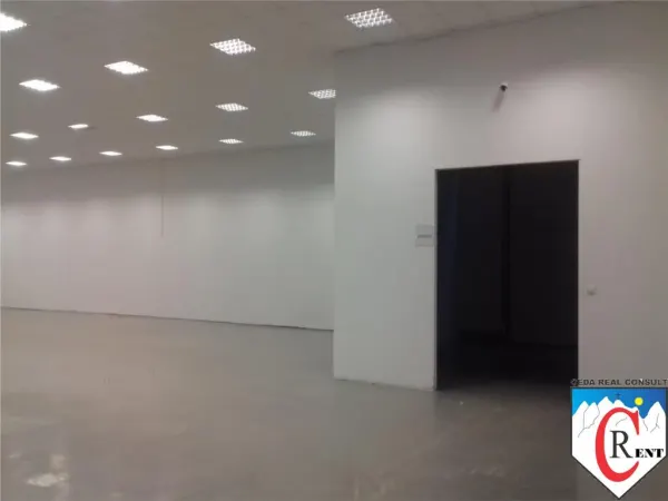 Spațiu industrial București - poza 3