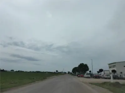 Teren intravilan 26500 mp-Moara Vlasiei,Nod A3, toate util. - foto 4
