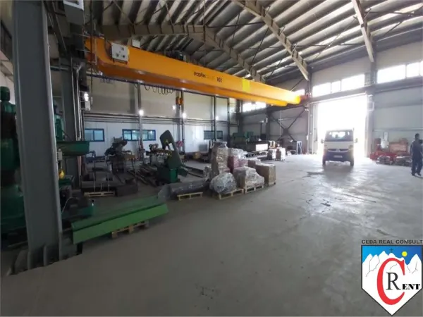 Spațiu industrial Afumați - poza 4