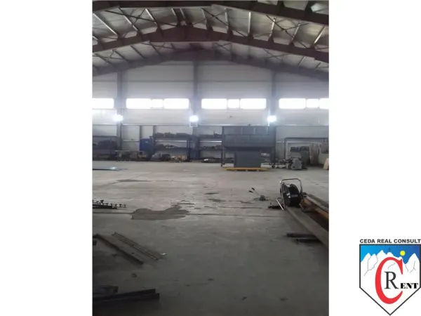 Spațiu industrial Afumați - poza 5