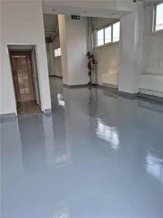 Spațiu industrial Afumați - poza 1