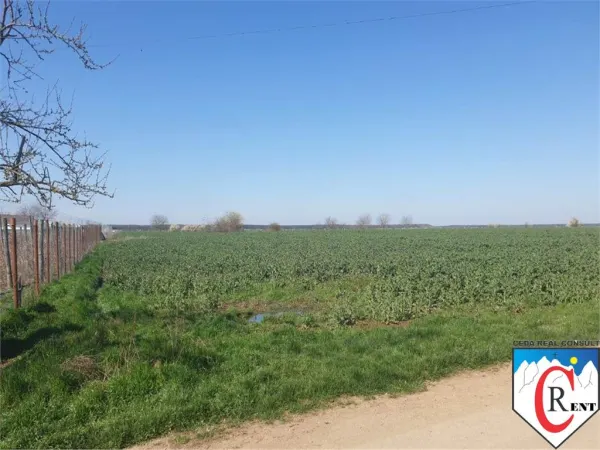 Teren Moara Vlăsiei - poza 2