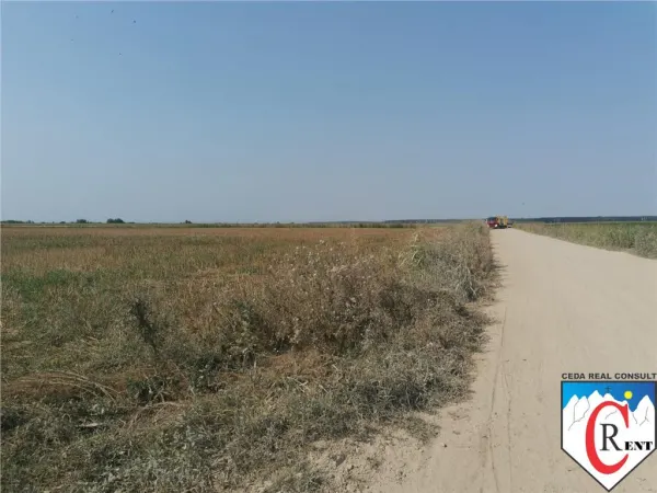 Teren Ștefăneștii de Jos - poza 3