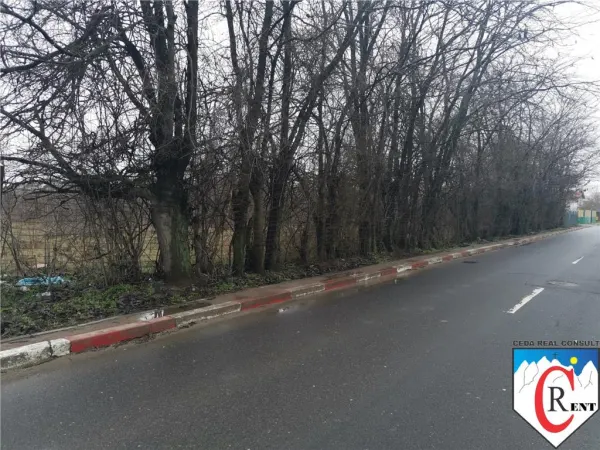 Teren București - poza 2