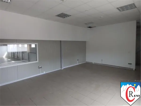 Spațiu industrial Ștefăneștii de Jos - poza 8