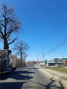 Teren la sosea Balotesti - foto 3