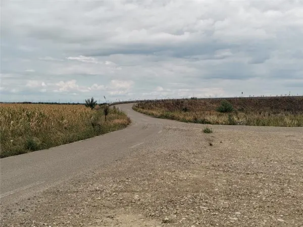 Teren Ștefănești - poza 5