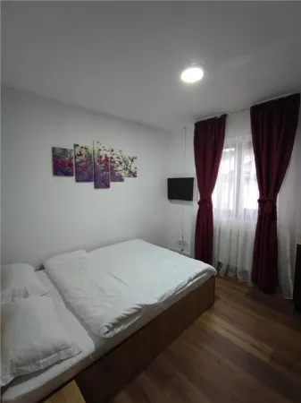 Casă 10 camere Voluntari - poza 1
