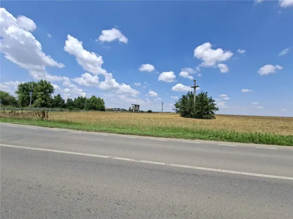 Teren București - poza 6