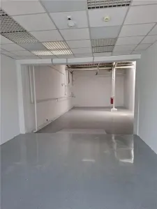 Afumati-E 85 Hala 106 mp-incalzire-AC-depozit-birou-showroom - foto 2