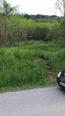 Teren Amnas - poza 3