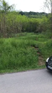 Teren de vanzare in Amnas Sibiu - foto 3