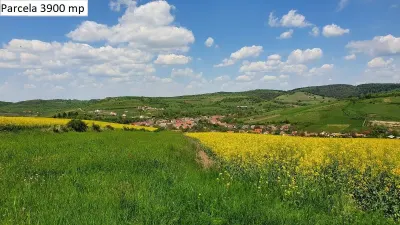 Teren Hamba - poza 12