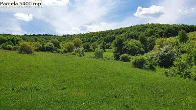 Teren Hamba - poza 17