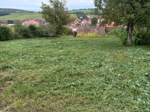 Teren Șura Mare - poza 3