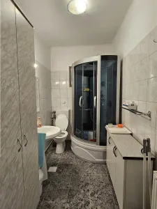Casa de inchiriat zona Trei Stejari - foto 8