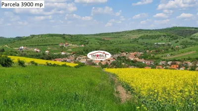 Teren agricol de vanzare in Hamba Sibiu, 4 parcele - foto 14