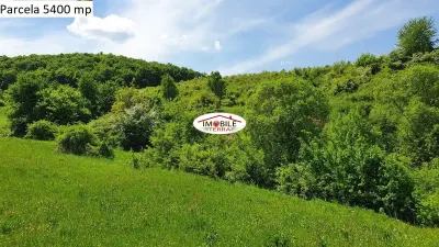 Teren agricol de vanzare in Hamba Sibiu, 4 parcele - foto 16