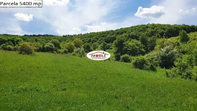 Teren agricol de vanzare in Hamba Sibiu, 4 parcele - foto 17