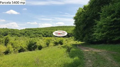 Teren agricol de vanzare in Hamba Sibiu, 4 parcele - foto 19