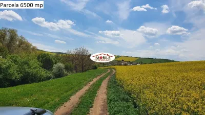 Teren agricol de vanzare in Hamba Sibiu, 4 parcele - foto 4