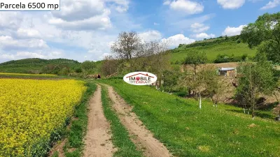 Teren agricol de vanzare in Hamba Sibiu, 4 parcele - foto 5