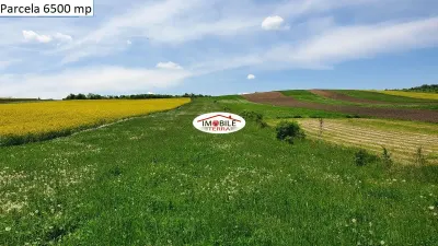 Teren agricol de vanzare in Hamba Sibiu, 4 parcele - foto 6