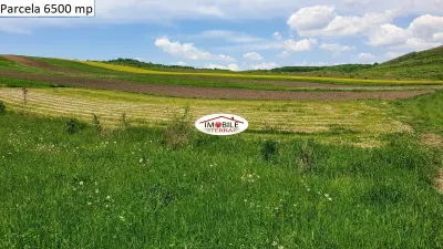 Teren agricol de vanzare in Hamba Sibiu, 4 parcele - foto 8