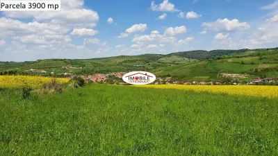Teren agricol de vanzare in Hamba Sibiu, 4 parcele - foto 10