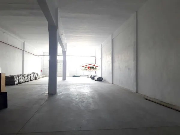 Spațiu industrial Sibiu - poza 6