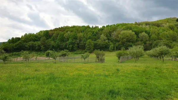 Teren Sibiel - poza 2