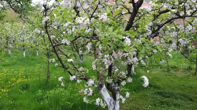 Casa de vanzare in Sebesul de Sus Sibiu - foto 17