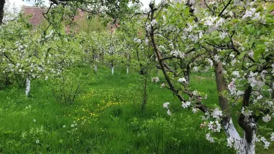 Casa de vanzare in Sebesul de Sus Sibiu - foto 18