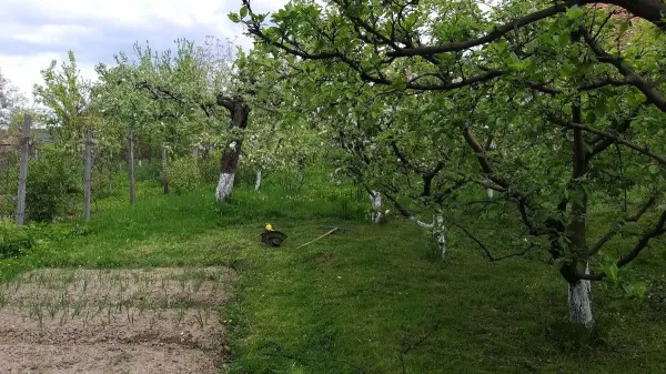 Casă 3 camere Sebesu de Sus - poza 19