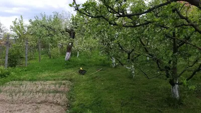 Casa de vanzare in Sebesul de Sus Sibiu - foto 19