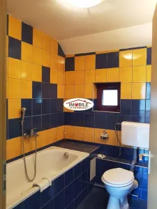 Casa de inchiriat pentru locuit sau firma pe Cl. Dumbravii - foto 8