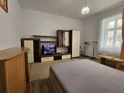 Garsonieră Sibiu - poza 3