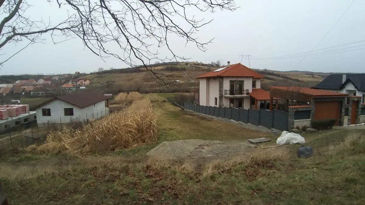 Teren Hamba - poza 1