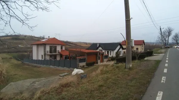 Teren Hamba - poza 2