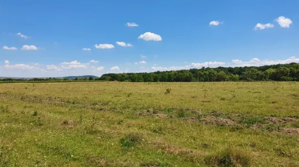 Teren Șelimbăr - poza 2