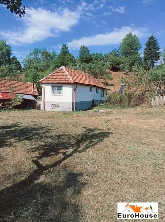 Casă 2 camere Vulcan - poza 2