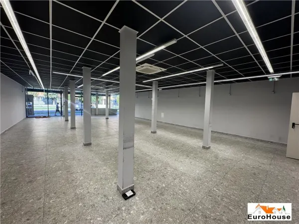 Spațiu comercial Alba Iulia - poza 2