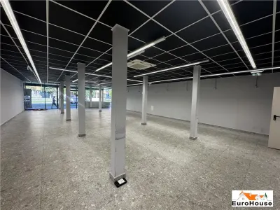 Spațiu comercial Alba Iulia - poza 2