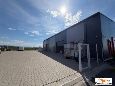 Hala  de inchiriat in Alba Iulia - foto 4