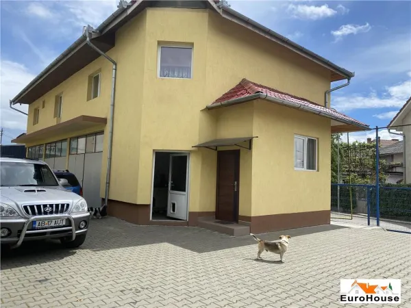 Spațiu comercial Alba Iulia - poza 2