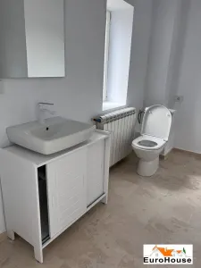 Spatiu de inchiriat in Alba Iulia - foto 2